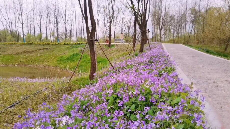 四川成都大邑安仁镇刘氏庄园博物馆景点介绍1