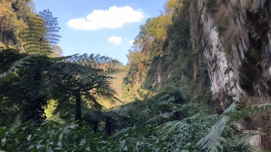 四川成都锦江红砂村花乡农居(农家乐)景点介绍1