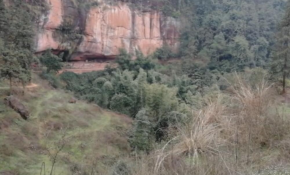 四川自贡李桥五条沟自然风景生态旅游区景点介绍1