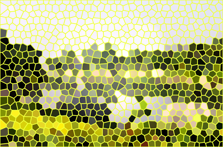 四川成都白河湿地公园(新城公园)景点介绍1