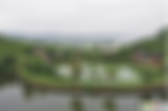 四川泸州泸州芙蓉岛景区景点介绍1