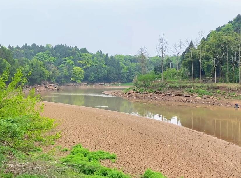 四川成都五凤山森林公园景点介绍1