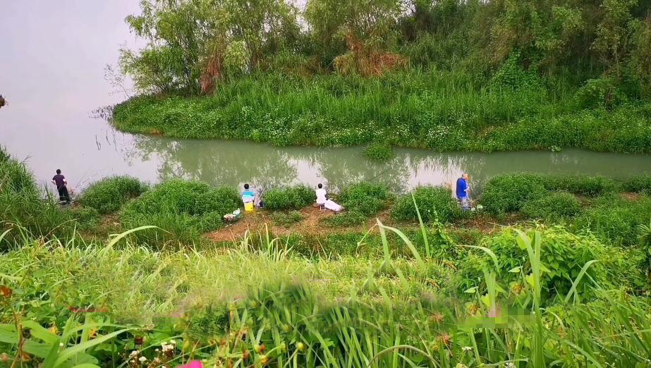 四川内江长坝山长江森林公园景点介绍1