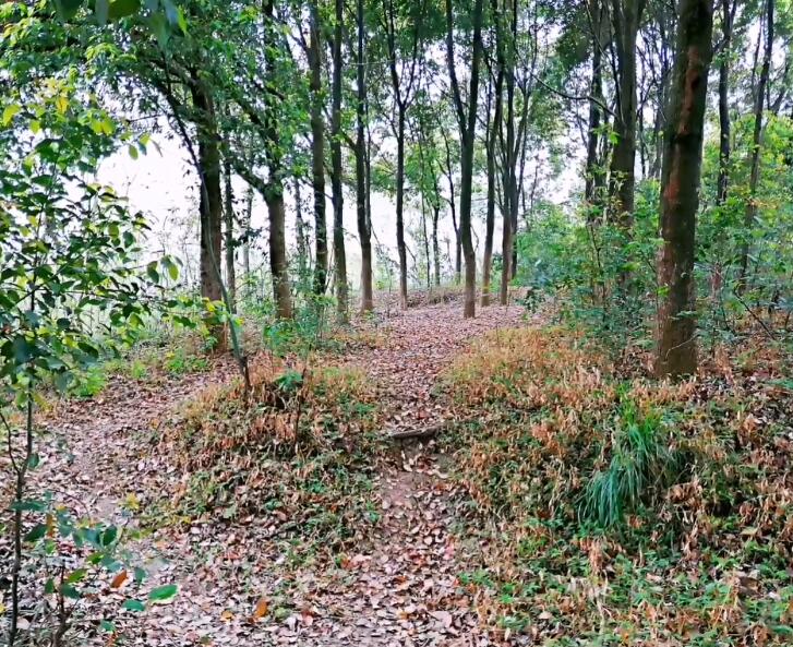 四川成都木兰山生态园景点介绍1