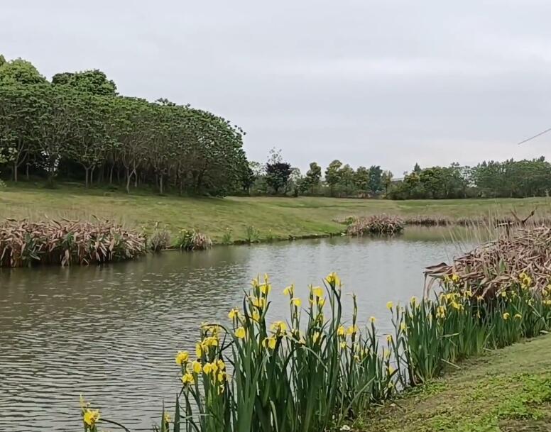 四川成都都江堰离堆公园景点介绍1