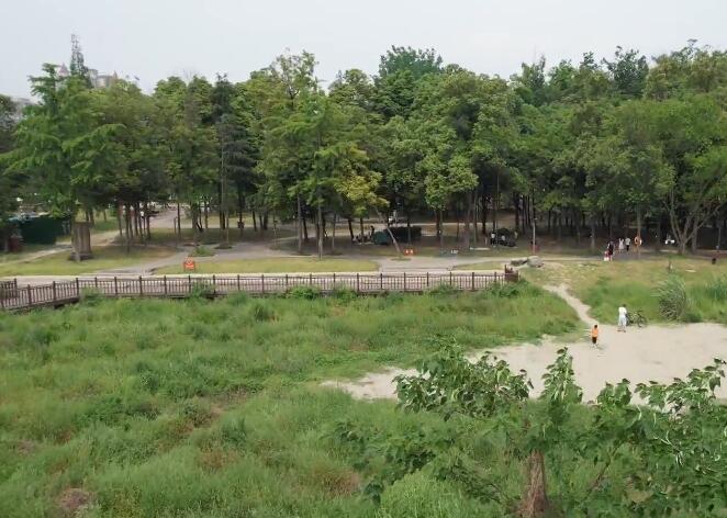 四川成都泥巴沱风景区景点介绍1