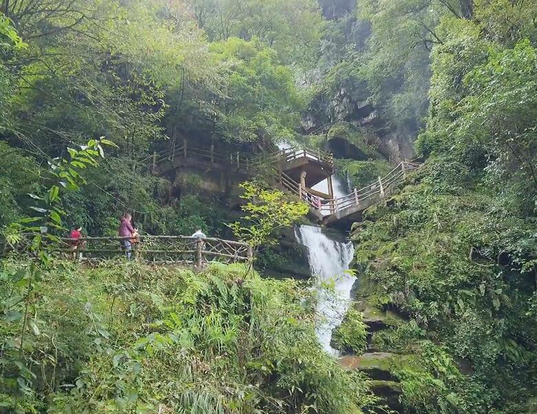 四川雅安碧峰峡景区(国家4A级)景点介绍1