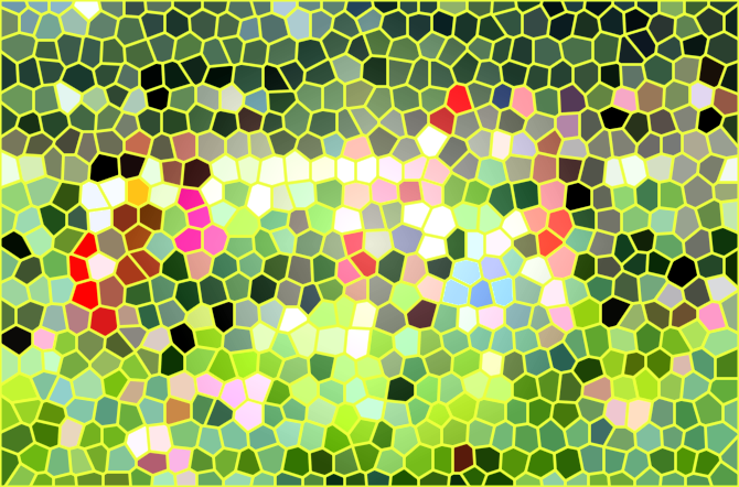 四川成都桤泉荷花基地景点介绍1