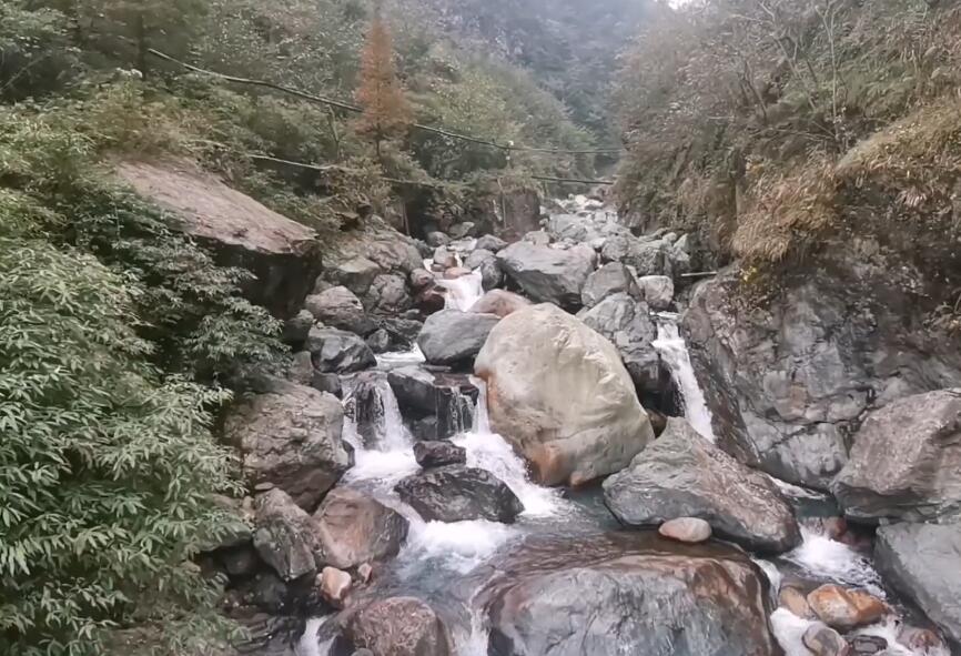 四川宜宾龙头山龙腾花舞风景区景点介绍1