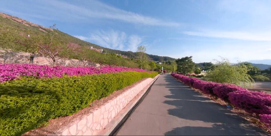 四川阿坝上孟孟屯河谷风景区景点介绍1