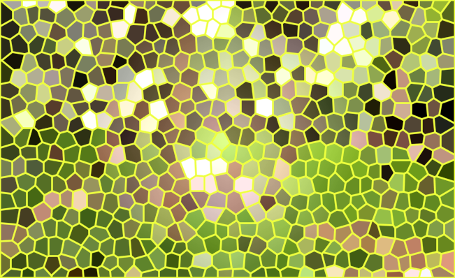 四川成都宝资山森林公园景点介绍1