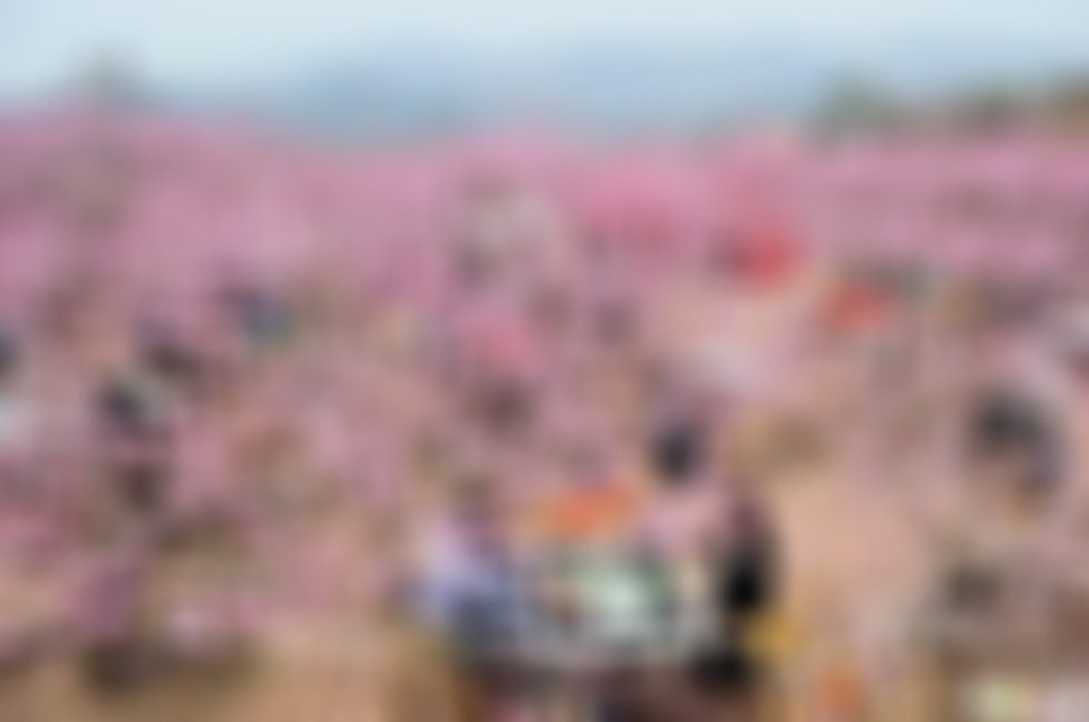 四川攀枝花鑫岛游乐城(国家2A级)景点介绍1