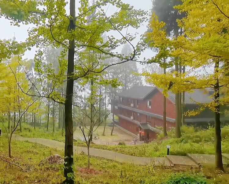 四川成都宝山村风景区景点介绍1