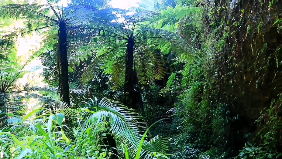 四川成都龙潭水乡景点介绍1