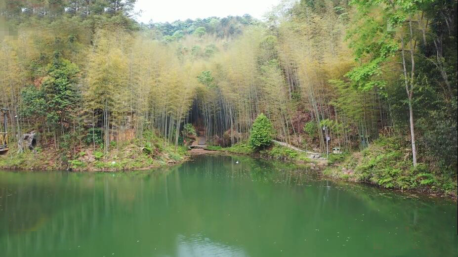 四川达州峨城竹海生态公园景点介绍1