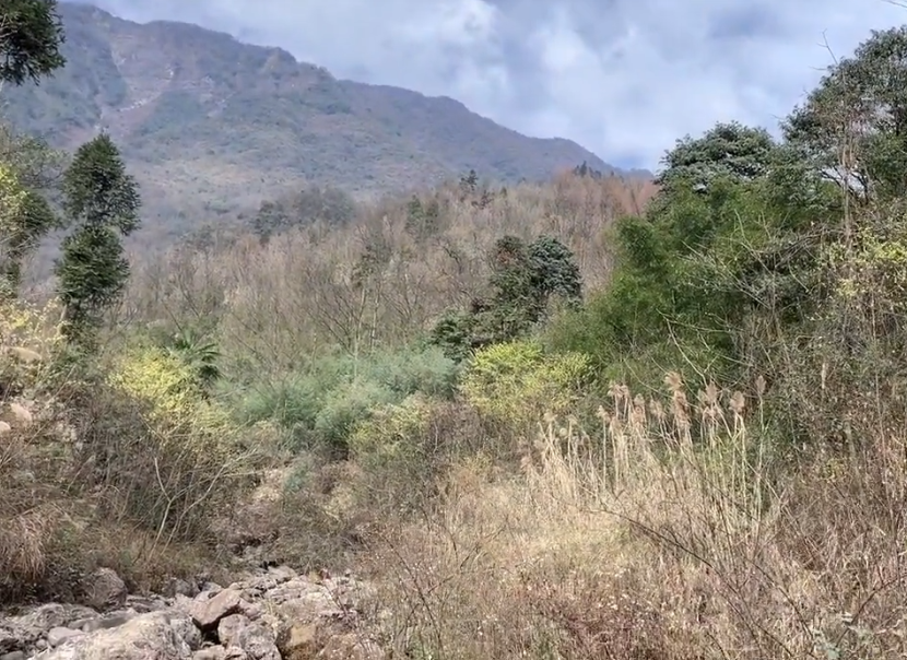 四川成都赵公山风景区景点介绍1