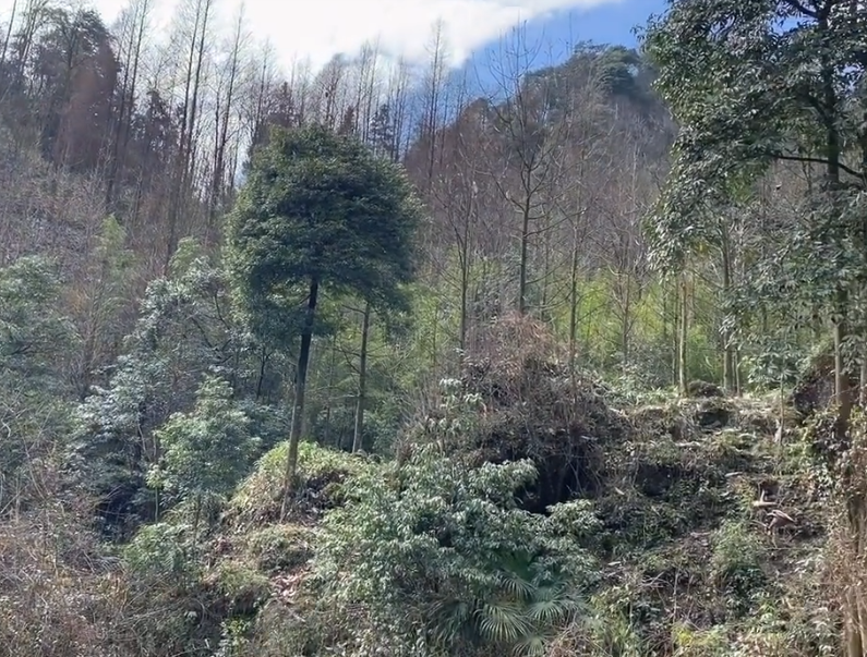 四川成都赵公山风景区景点介绍2