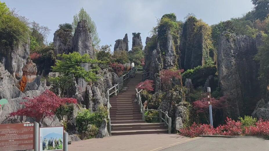 四川广安华蓥山石林景区景点介绍1