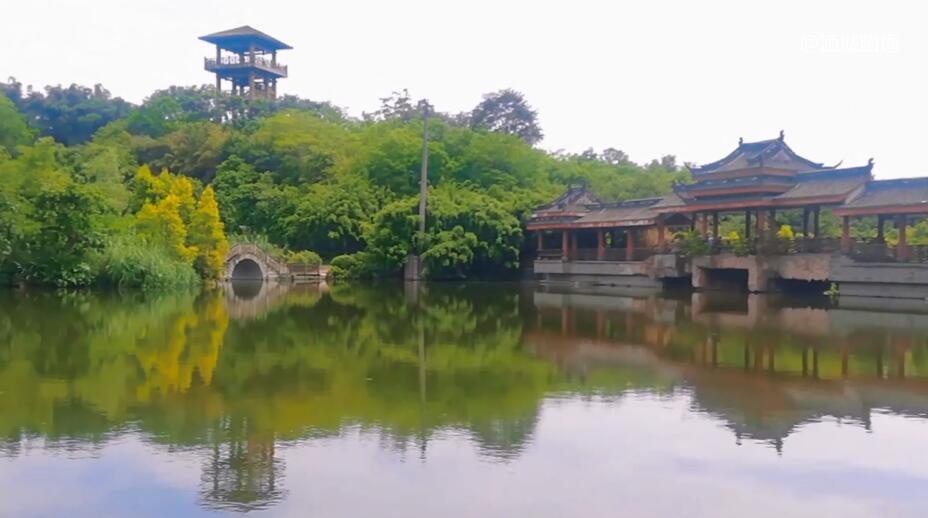 四川泸州张坝桂圆林景区(国家4A级)景点介绍1