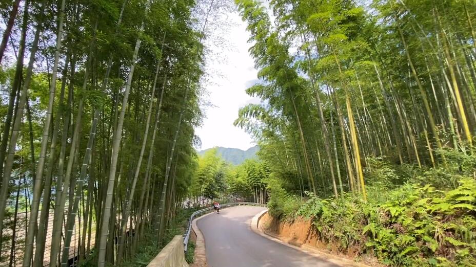 四川甘孜八邦寺(八蚌寺)景点介绍1