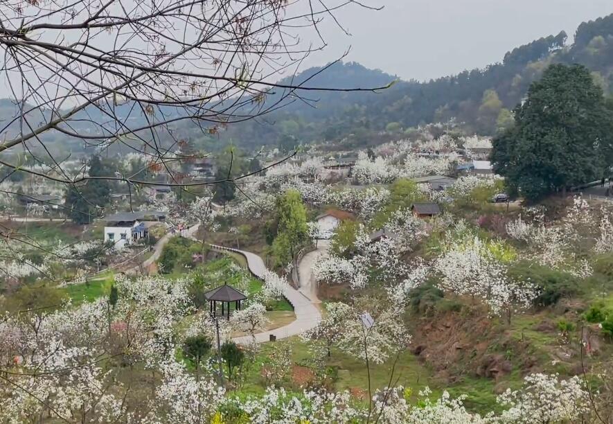 四川成都阿狸田野农场景点介绍1