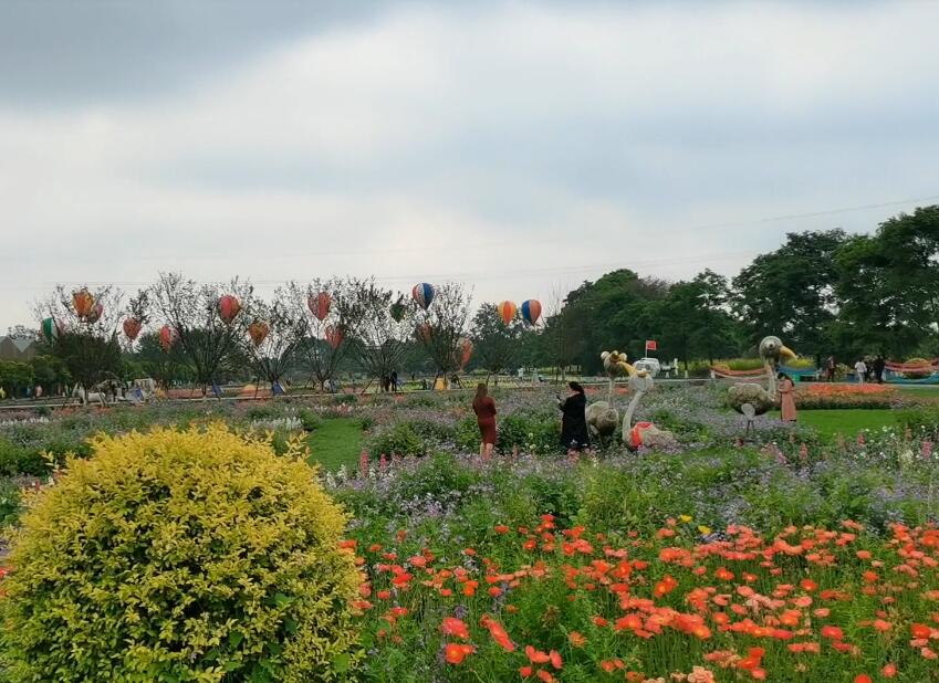 四川成都妈妈农庄景点介绍1