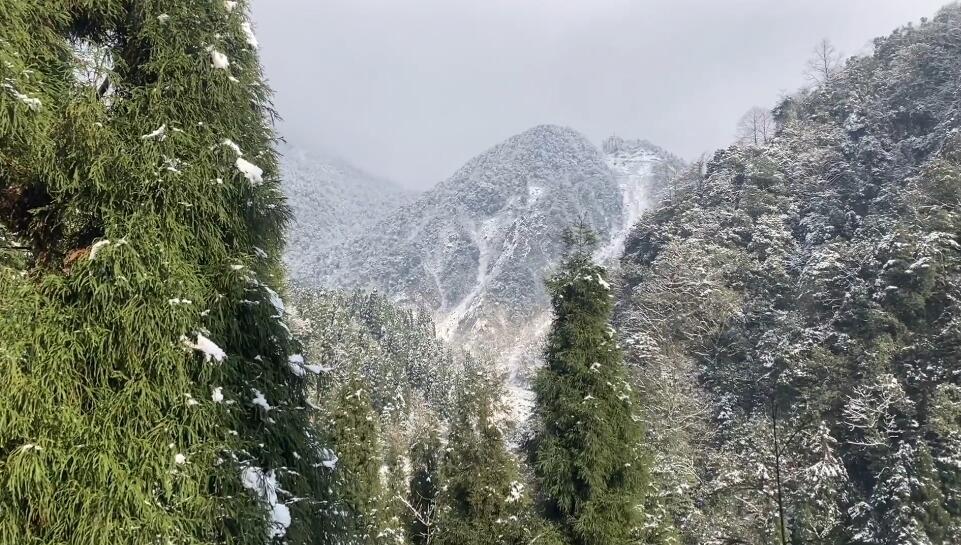 四川成都四川九峰山风景区景点介绍1