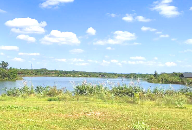 四川成都成飞公园景点介绍1