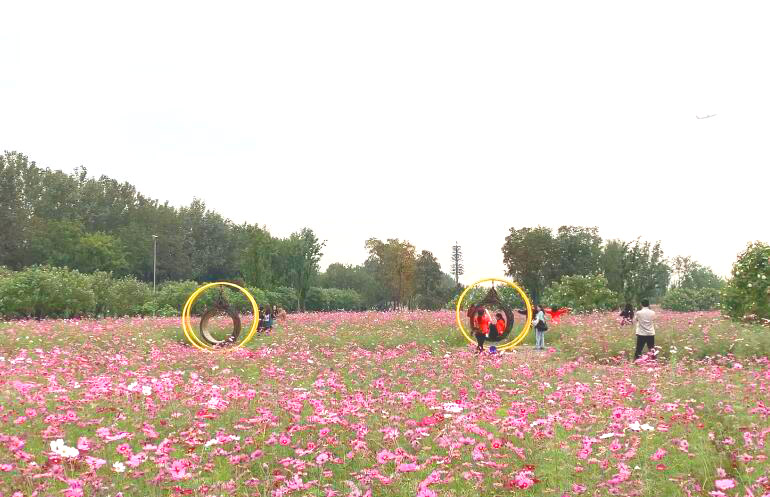 四川成都天府芙蓉园景点介绍1