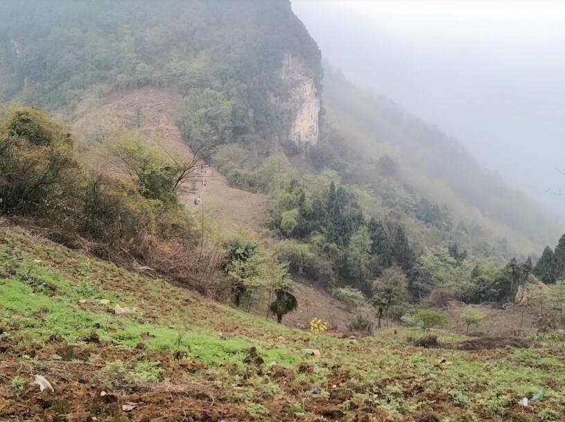 四川成都千亩荷塘景点介绍1