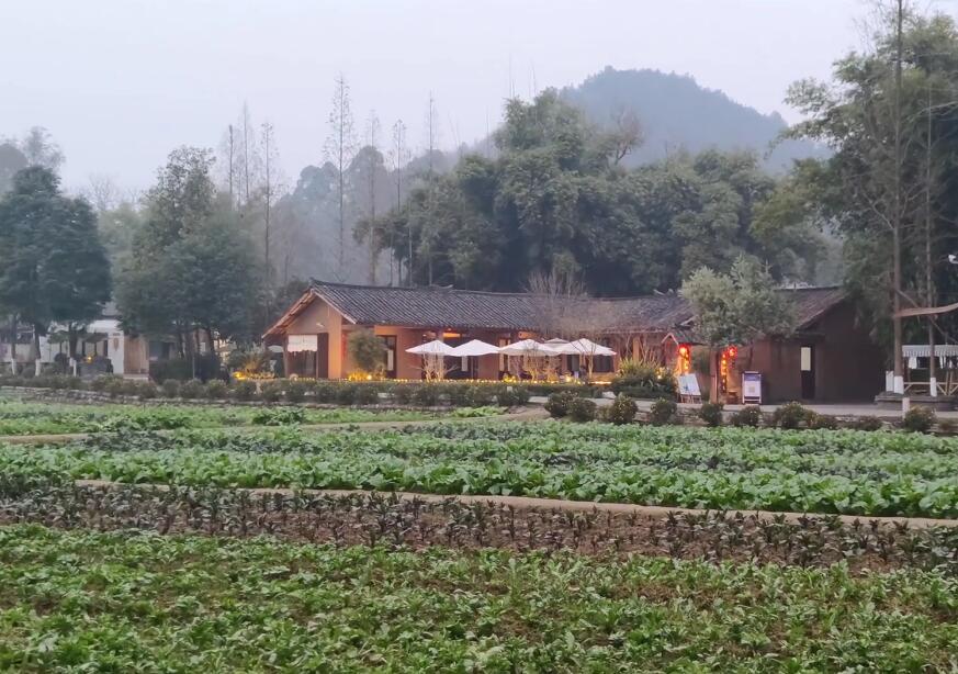 四川成都道明竹艺村景点介绍1