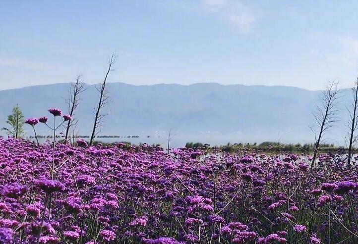 云南大理景点宝台山十六个堆子景点介绍1