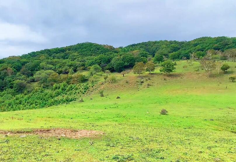 云南大理景点两院禁约碑景点介绍1