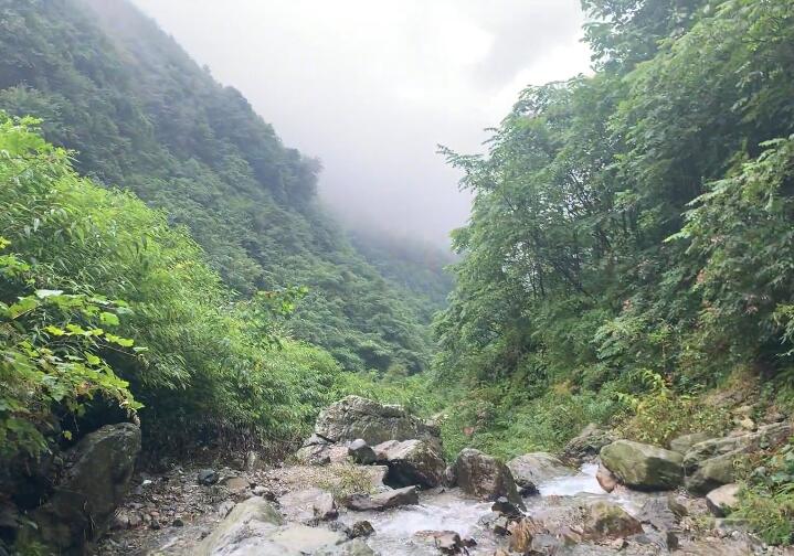 四川成都清水河生态艺术公园景点介绍1