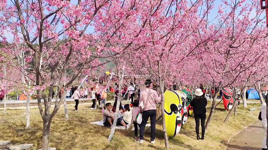 四川绵阳芦溪盛世樱花悠乐谷景点介绍1