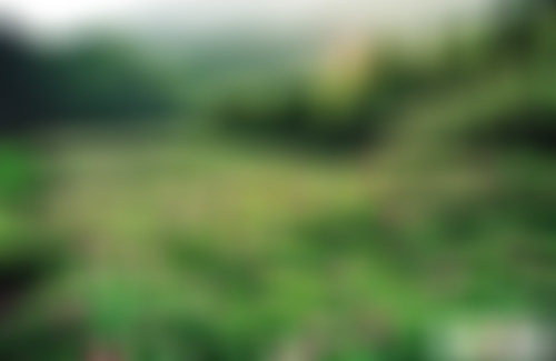 云南大理景点弥城清真寺景点介绍1