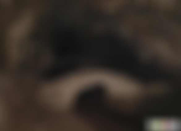 云南楚雄景点黑井贞孝总坊景点介绍1