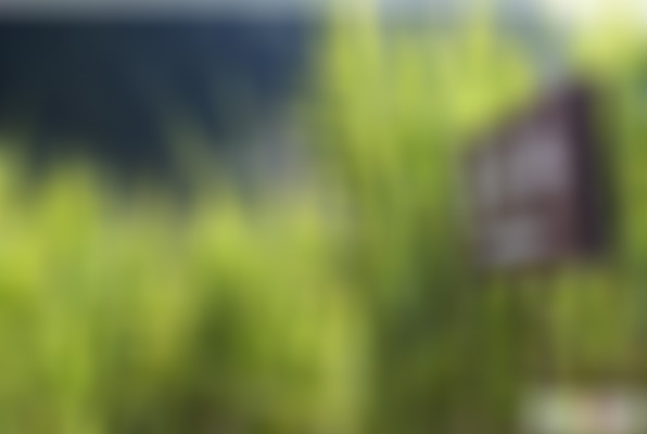 云南昭通景点野猪洞新石器时代遗址景点介绍1