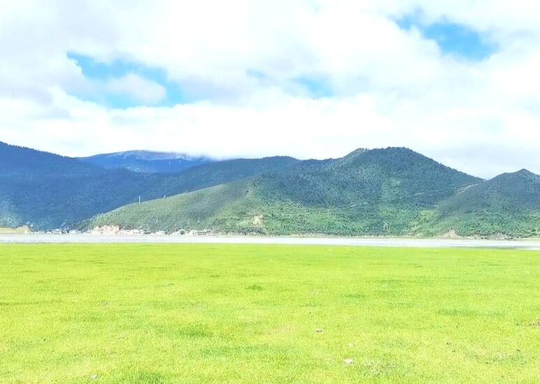 云南普洱景点无量山黄草岭生态旅游景区景点介绍1