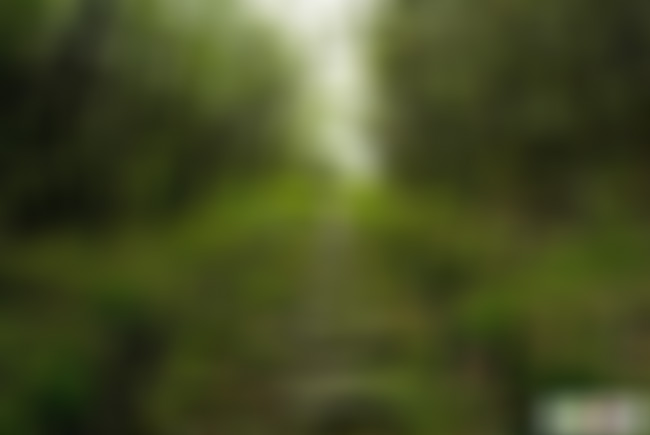 云南怒江景点富和山茶盐古道景点介绍1