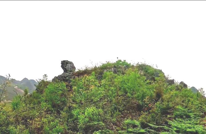 云南昆明景点黑石箐八角林风景区景点介绍1