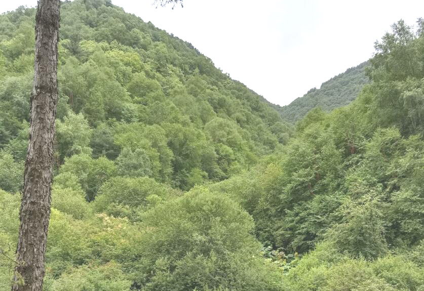 云南临沧景点广允缅寺(学堂缅寺)景点介绍1