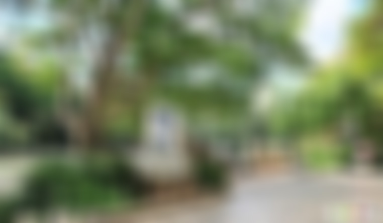 云南临沧景点大朝山西镇景点介绍1