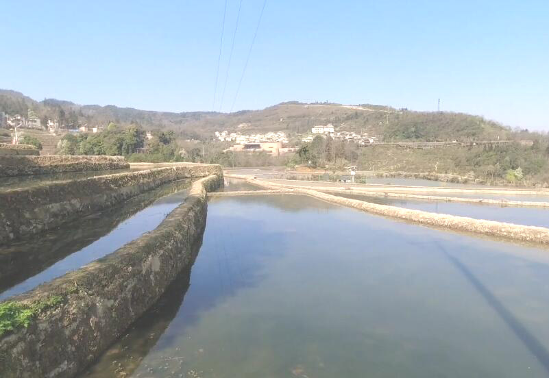 云南红河景点大鱼塘民俗村景点介绍1