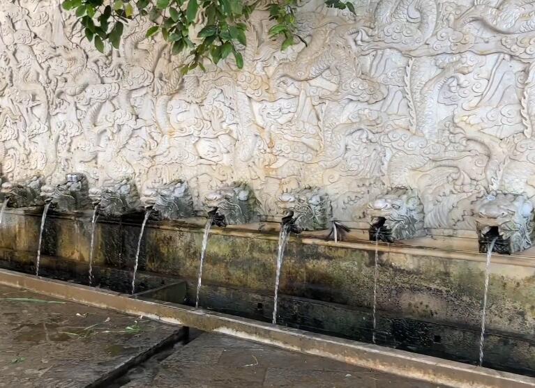 云南昆明景点昆明鸣洲生态茶花苑景点介绍1