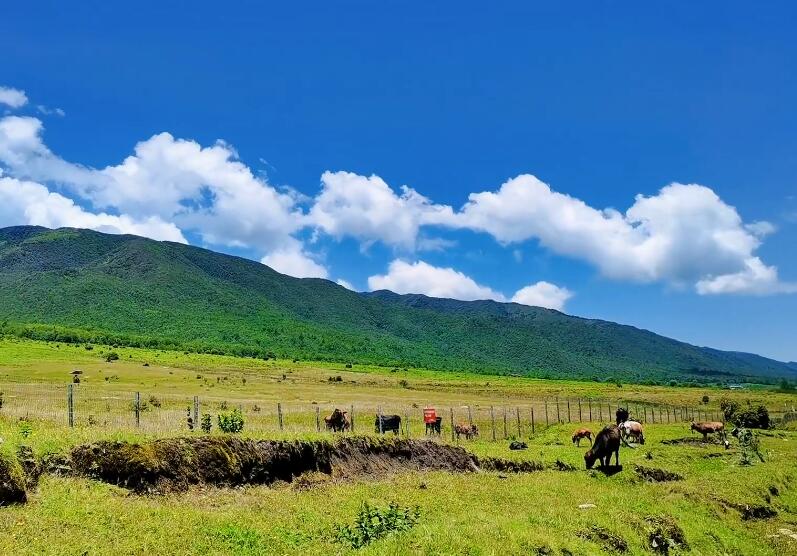 云南大理景点大理红河源景点介绍1