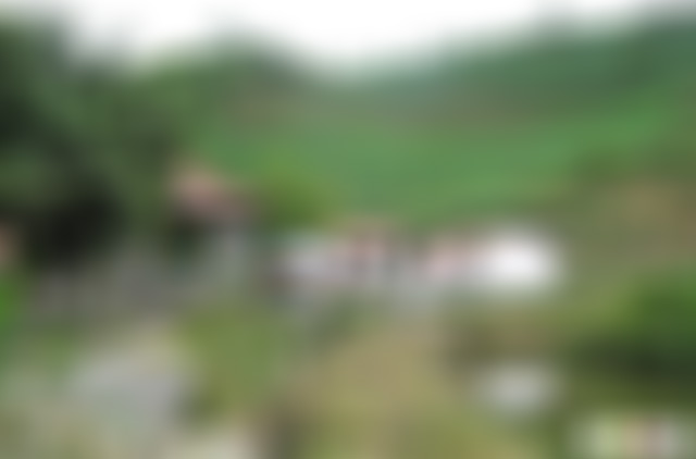 云南怒江景点怒江金鸡寺景点介绍1