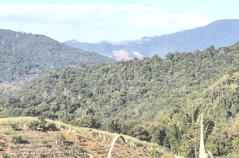 云南丽江景点红石岩古地震遗址景点介绍1