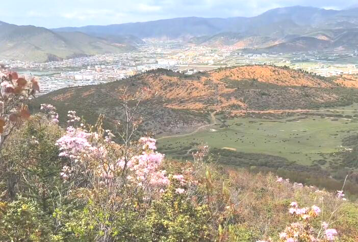 云南普洱景点腊福大黑山原始森林景点介绍1