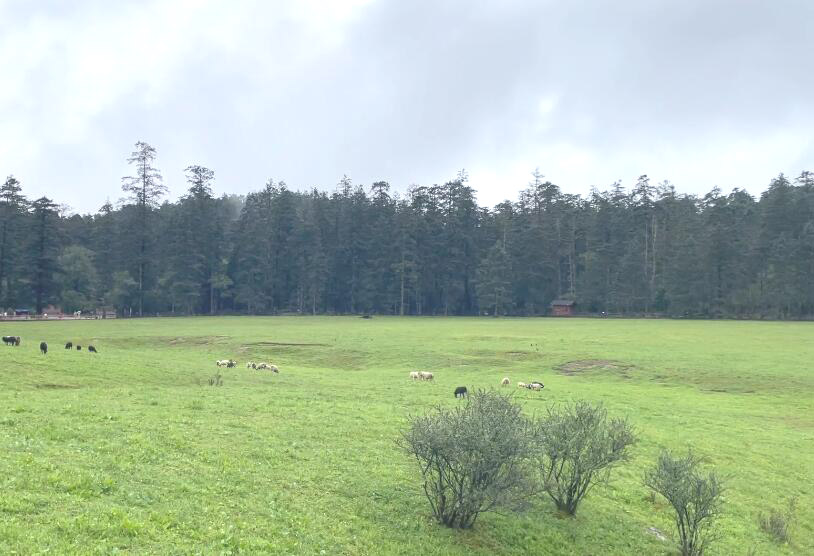 云南红河景点红河分水岭自然保护区景点介绍1